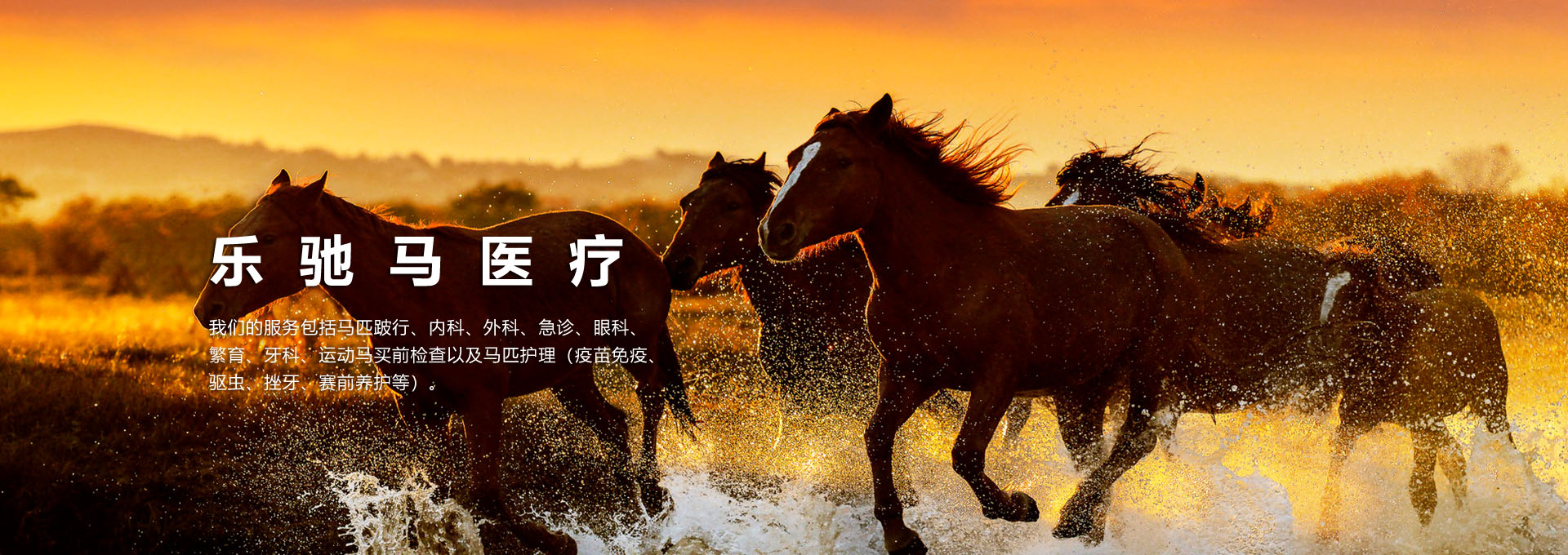 通栏图片