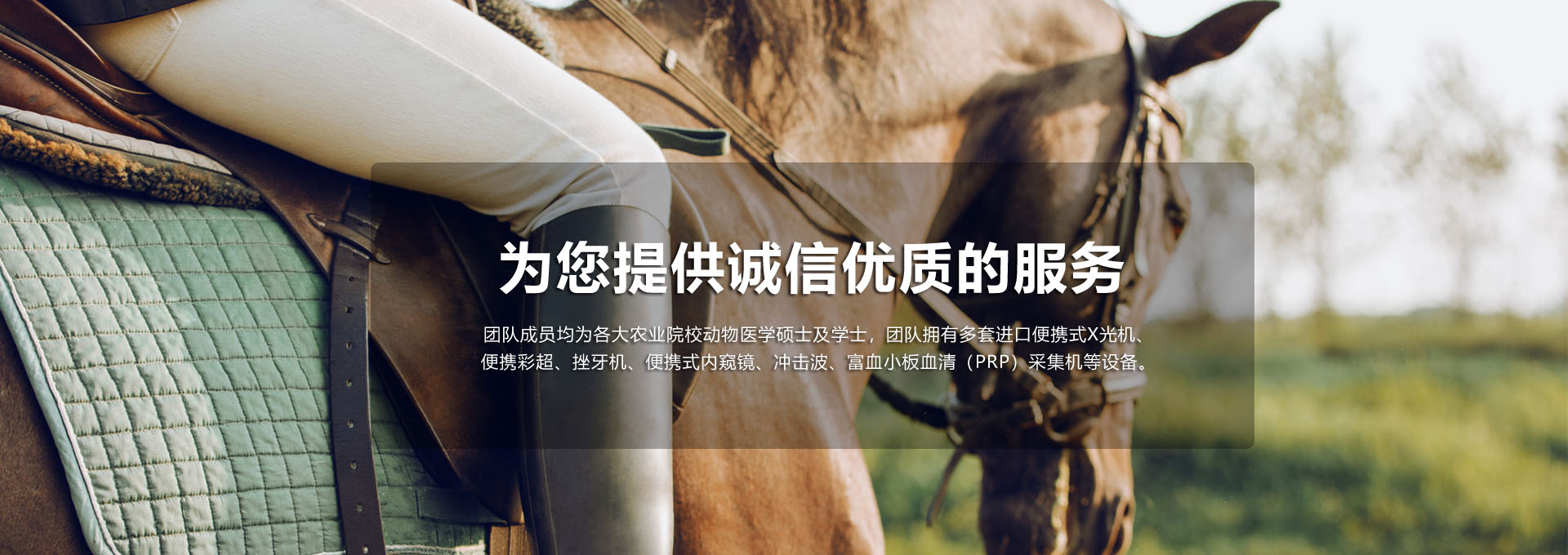 通栏图片